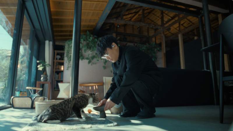 サカナクション山口一郎 猫と戯れる