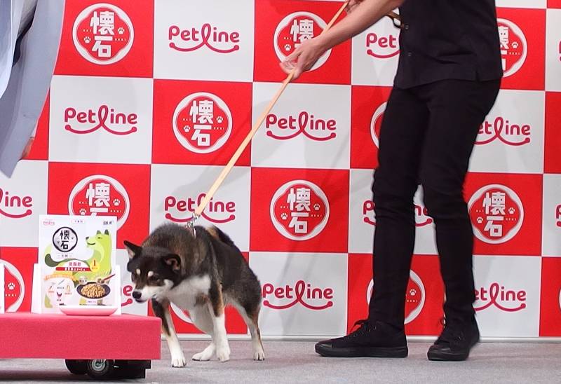 懐石CMウメちゃん