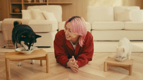 佐久間大介 懐石CM