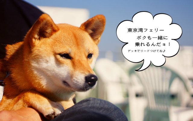 東京湾フェリー 犬