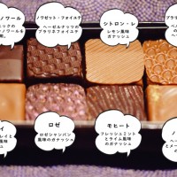 モヒート モリヨシダ チョコレート モリヨシダ サブレショコラ