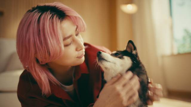佐久間大介 懐石WEBCM