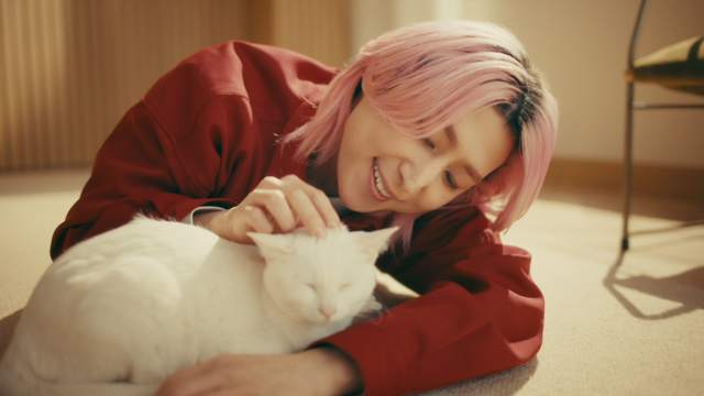 佐久間大介 懐石WEBCM