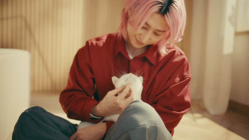 佐久間大介 懐石WEBCM
